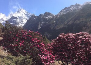 Himalaya Solukhumbu Lawudo Trek 2017