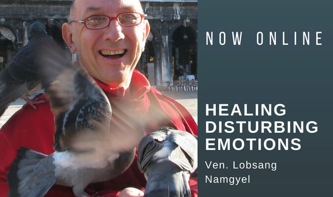 Healing Disturbing Emotions with Ven. Namgyel now online