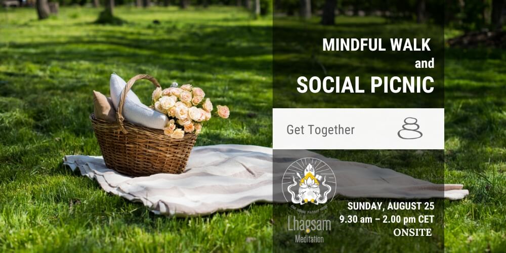 mindful walk and social picnic